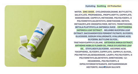 Timeless Sunscreen Round Lab Birch Moisturizing Mild-Up Sunscreen SPF50+ PA++++ - 50ml ...